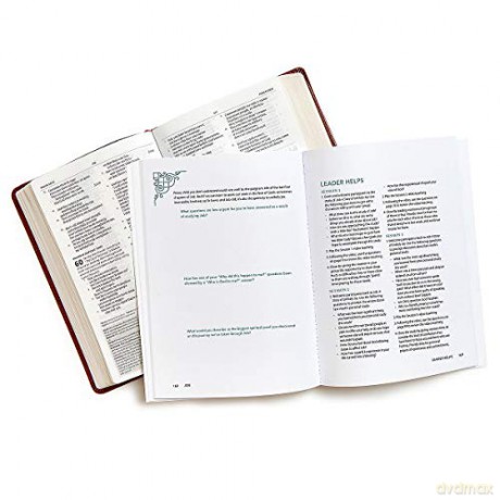 Job A Story Of Unlikely Joy Bible Study - Lisa Harper [KSIĄŻKA]