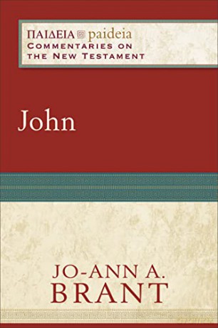 John - Jo-Ann Brant [KSIĄŻKA]