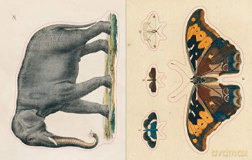 John Derian Sticker Book - John Derian [KSIĄŻKA]