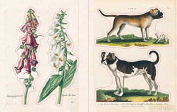 John Derian Sticker Book - John Derian [KSIĄŻKA]