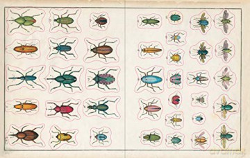 John Derian Sticker Book - John Derian [KSIĄŻKA]