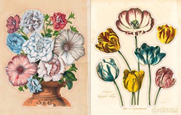 John Derian Sticker Book - John Derian [KSIĄŻKA]