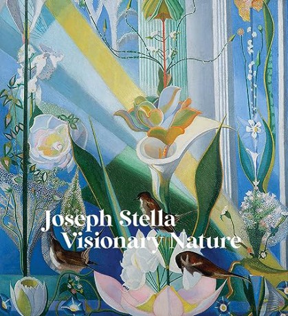 Joseph Stella Visionary Nature - Joseph Stella [KSIĄŻKA]