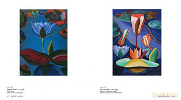Joseph Stella Visionary Nature - Joseph Stella [KSIĄŻKA]