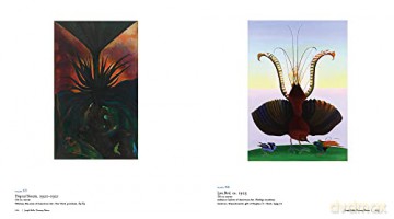 Joseph Stella Visionary Nature - Joseph Stella [KSIĄŻKA]