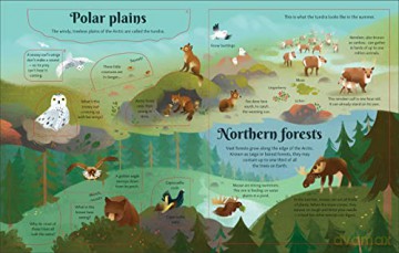 Journey Across The Arctic - Jerome Martin [KSIĄŻKA]