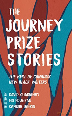 Journey Prize Stories 33 The [KSIĄŻKA]