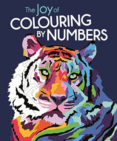 Joy Of Colouring By Numbers - Felicity French [KSIĄŻKA]