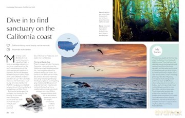 Joy Of Wild Swimming - Lonely Planet [KSIĄŻKA]