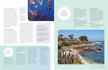 Joy Of Wild Swimming - Lonely Planet [KSIĄŻKA]