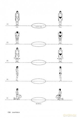 Judo Formal Techniques - Donn F Draeger [KSIĄŻKA]