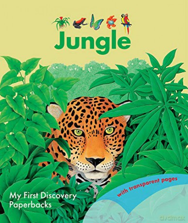 Jungle - Rene Mettler [KSIĄŻKA]