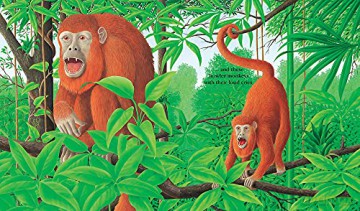Jungle - Rene Mettler [KSIĄŻKA]
