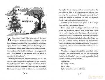 Junipers Christmas - Eoin Colfer [KSIĄŻKA]