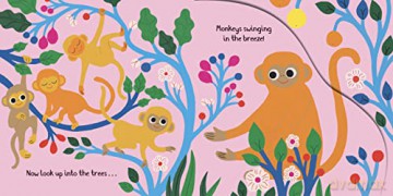 Junle Animals - Lucy Rowland [KSIĄŻKA]
