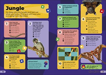 Kahoot Quiz Time Animals [KSIĄŻKA]
