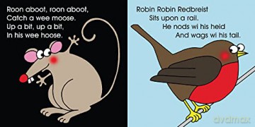 Katies Coo Board Book - Robertson Jame [KSIĄŻKA]