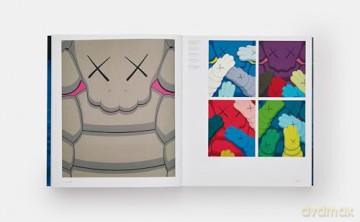 Kaws [KSIĄŻKA]