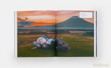 Kaws [KSIĄŻKA]