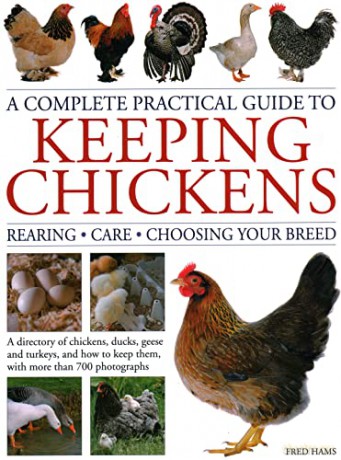 Keeping Chickens A Complete Practical Gu - Fred Hams [KSIĄŻKA]