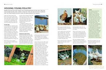 Keeping Chickens A Complete Practical Gu - Fred Hams [KSIĄŻKA]