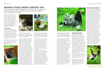 Keeping Chickens A Complete Practical Gu - Fred Hams [KSIĄŻKA]