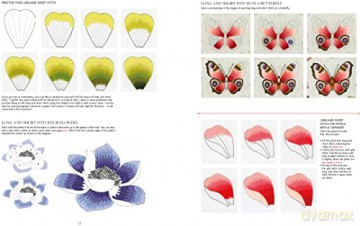 Kew Book Of Nature Samplers Folder Editi - Trish Burr [KSIĄŻKA]