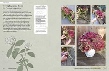 Kew Gardeners Guide To Growing Shrubs - Valerie Boujard [KSIĄŻKA]