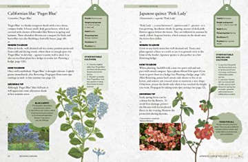 Kew Gardeners Guide To Growing Shrubs - Valerie Boujard [KSIĄŻKA]
