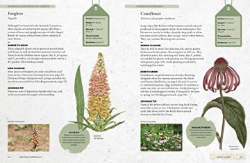 Kew Gardeners Guide/Growing Perennials - Royal Botanic Garden [KSIĄŻKA]