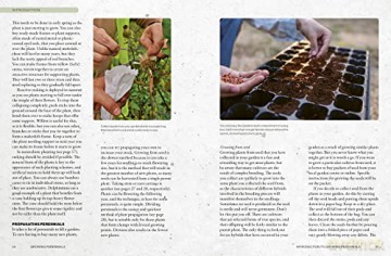 Kew Gardeners Guide/Growing Perennials - Royal Botanic Garden [KSIĄŻKA]