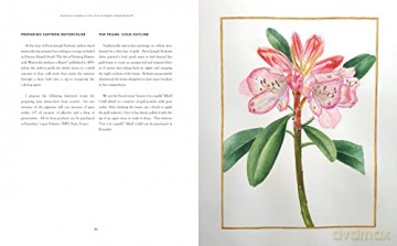 Kew Gardens Botanical Artist - Francoise Balsan [KSIĄŻKA]