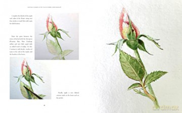 Kew Gardens Botanical Artist - Francoise Balsan [KSIĄŻKA]