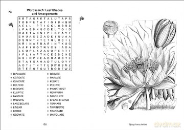 Kew Gardens Calming Puzzles Collection - Eric Saunders [KSIĄŻKA]