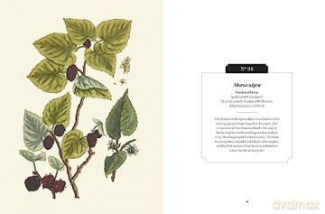 Kew Pocketbooks Trees - Kevin Martin [KSIĄŻKA]