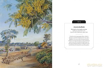 Kew Pocketbooks Trees - Kevin Martin [KSIĄŻKA]