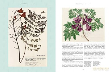 Kew Rare Plants - Ed Ikin [KSIĄŻKA]