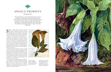 Kew Rare Plants - Ed Ikin [KSIĄŻKA]
