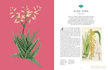 Kew Rare Plants - Ed Ikin [KSIĄŻKA]