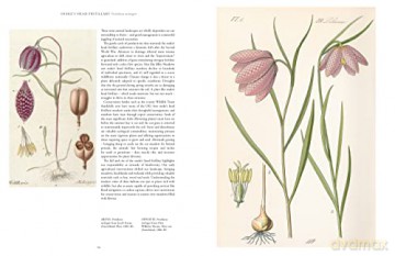 Kew Rare Plants - Ed Ikin [KSIĄŻKA]