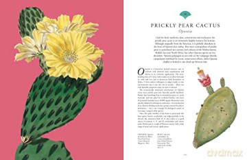 Kew Rare Plants - Ed Ikin [KSIĄŻKA]