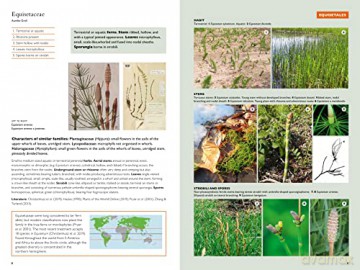 Kew Temperate Plant Families Identificat - Gemma (Ed) Bramley [KSIĄŻKA]