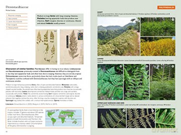 Kew Temperate Plant Families Identificat - Gemma (Ed) Bramley [KSIĄŻKA]