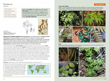 Kew Temperate Plant Families Identificat - Gemma (Ed) Bramley [KSIĄŻKA]