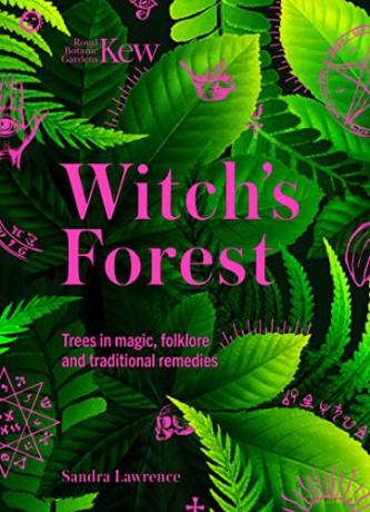 Kew Witchs Trees - Sandra Lawrence [KSIĄŻKA]