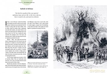 Kew Witchs Trees - Sandra Lawrence [KSIĄŻKA]