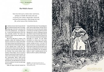 Kew Witchs Trees - Sandra Lawrence [KSIĄŻKA]