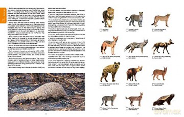 Kgalagadi Selfdrive Second Edition - Philip Van Den Berg [KSIĄŻKA]