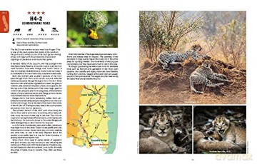 Kgalagadi Selfdrive Second Edition - Philip Van Den Berg [KSIĄŻKA]