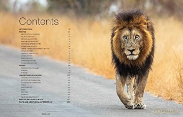 Kgalagadi Selfdrive Second Edition - Philip Van Den Berg [KSIĄŻKA]